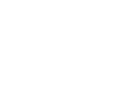DSV-partner_logo