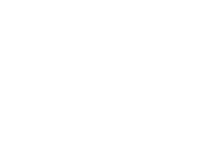 Google-partner_logo