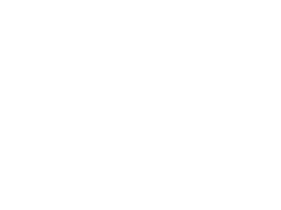 GXO-partner_logo